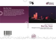 Capa do livro de Bay City, Texas 