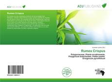 Rumex Crispus kitap kapağı