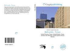 Buchcover von Bulverde, Texas