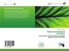 Tabernaemontana Citrifolia kitap kapağı