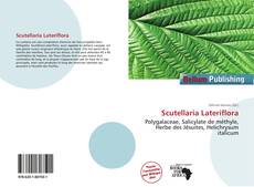 Scutellaria Lateriflora kitap kapağı