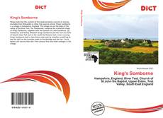 King's Somborne kitap kapağı