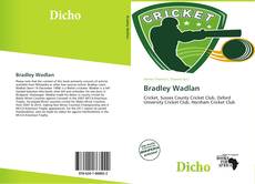 Bookcover of Bradley Wadlan