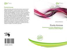 Bookcover of Punta Arenas