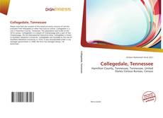 Bookcover of Collegedale, Tennessee