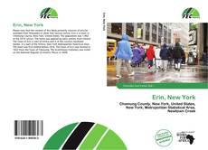 Erin, New York kitap kapağı