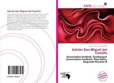 Bookcover of Adrián San Miguel del Castillo