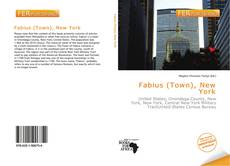 Couverture de Fabius (Town), New York