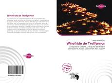 Portada del libro de Winefride de Treffynnon