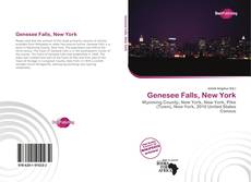 Portada del libro de Genesee Falls, New York