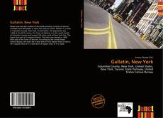 Bookcover of Gallatin, New York