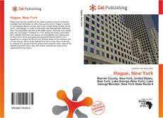 Buchcover von Hague, New York