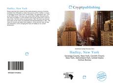 Bookcover of Hadley, New York