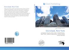 Bookcover of Groveland, New York