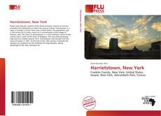 Capa do livro de Harrietstown, New York 