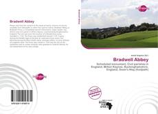 Portada del libro de Bradwell Abbey