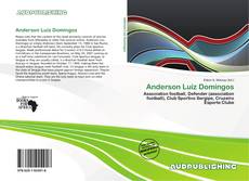 Bookcover of Anderson Luiz Domingos