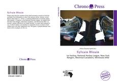 Bookcover of Sylvain Blouin