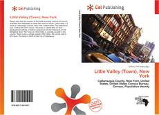Little Valley (Town), New York kitap kapağı