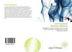 Buchcover von Andrius Kubilius