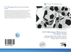 1879 Michigan Wolverines Football Team kitap kapağı