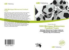 1880 Michigan Wolverines Football Team的封面