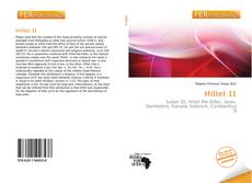 Buchcover von Hillel II