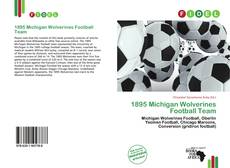 1895 Michigan Wolverines Football Team kitap kapağı
