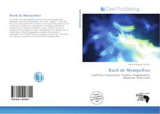 Portada del libro de Roch de Montpellier