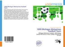 Bookcover of 1899 Michigan Wolverines Football Team