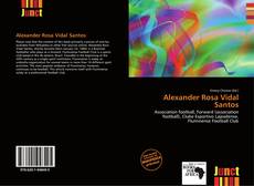 Bookcover of Alexander Rosa Vidal Santos