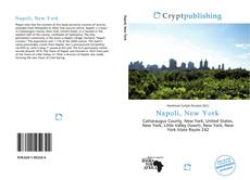 Buchcover von Napoli, New York
