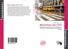 Buchcover von Mount Hope, New York