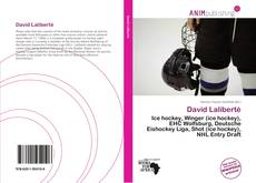 Bookcover of David Laliberté