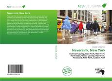 Buchcover von Neversink, New York