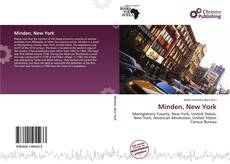 Bookcover of Minden, New York