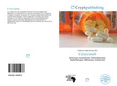 Bookcover of Cetuximab