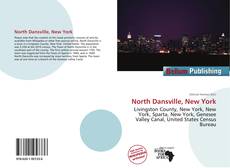 Buchcover von North Dansville, New York