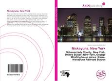 Bookcover of Niskayuna, New York