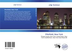 Capa do livro de Pittsfield, New York 