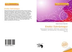 Eneko Satrústegui kitap kapağı