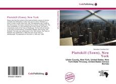 Buchcover von Plattekill (Town), New York