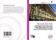 Bookcover of Plymouth, New York