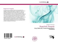 Buchcover von Kapeliele Faupala