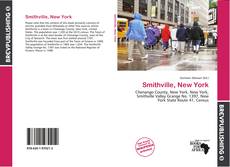 Capa do livro de Smithville, New York 