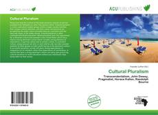 Cultural Pluralism kitap kapağı