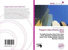 Bookcover of Tupper Lake (Town), New York