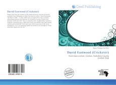 David Eastwood (Cricketer) kitap kapağı
