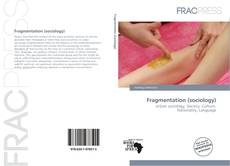 Capa do livro de Fragmentation (sociology) 