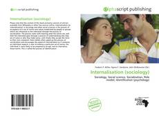 Bookcover of Internalisation (sociology)